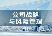 公司战略与风险管理